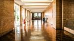 When Floors Start Over: What To Know Before You Strip